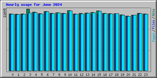 Hourly usage for June 2024