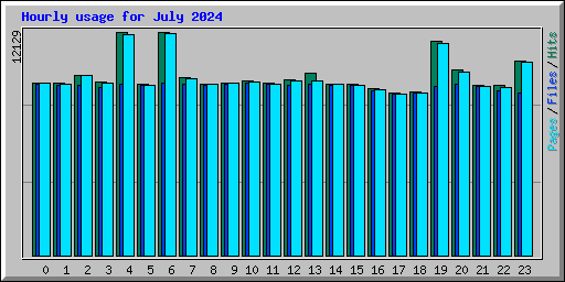 Hourly usage for July 2024